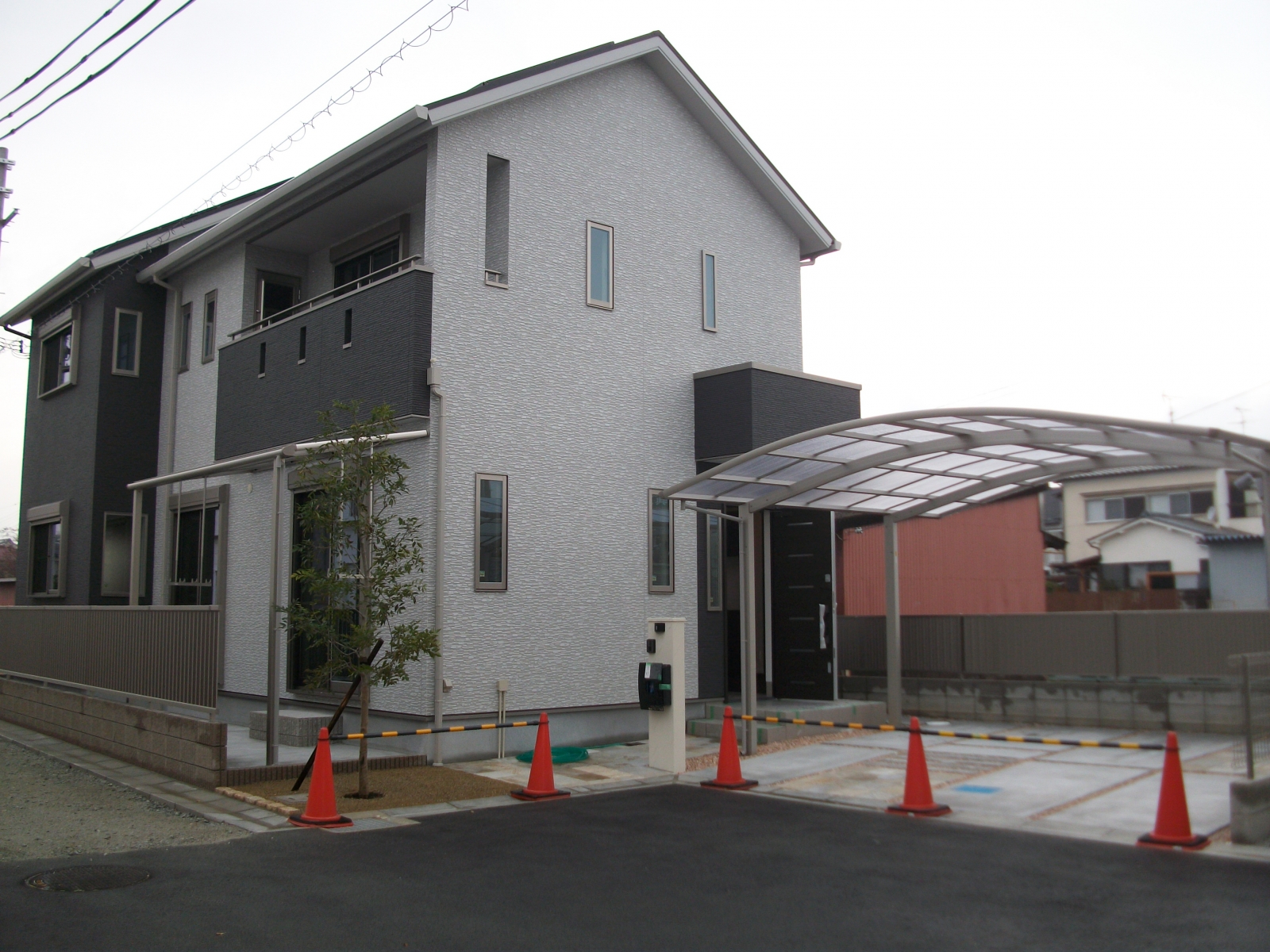 IMGP2091